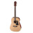 Aria AWN15N Acoustic Guitar (Natural)