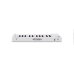 Arturia MicroLab MK3 MIDI controller - White